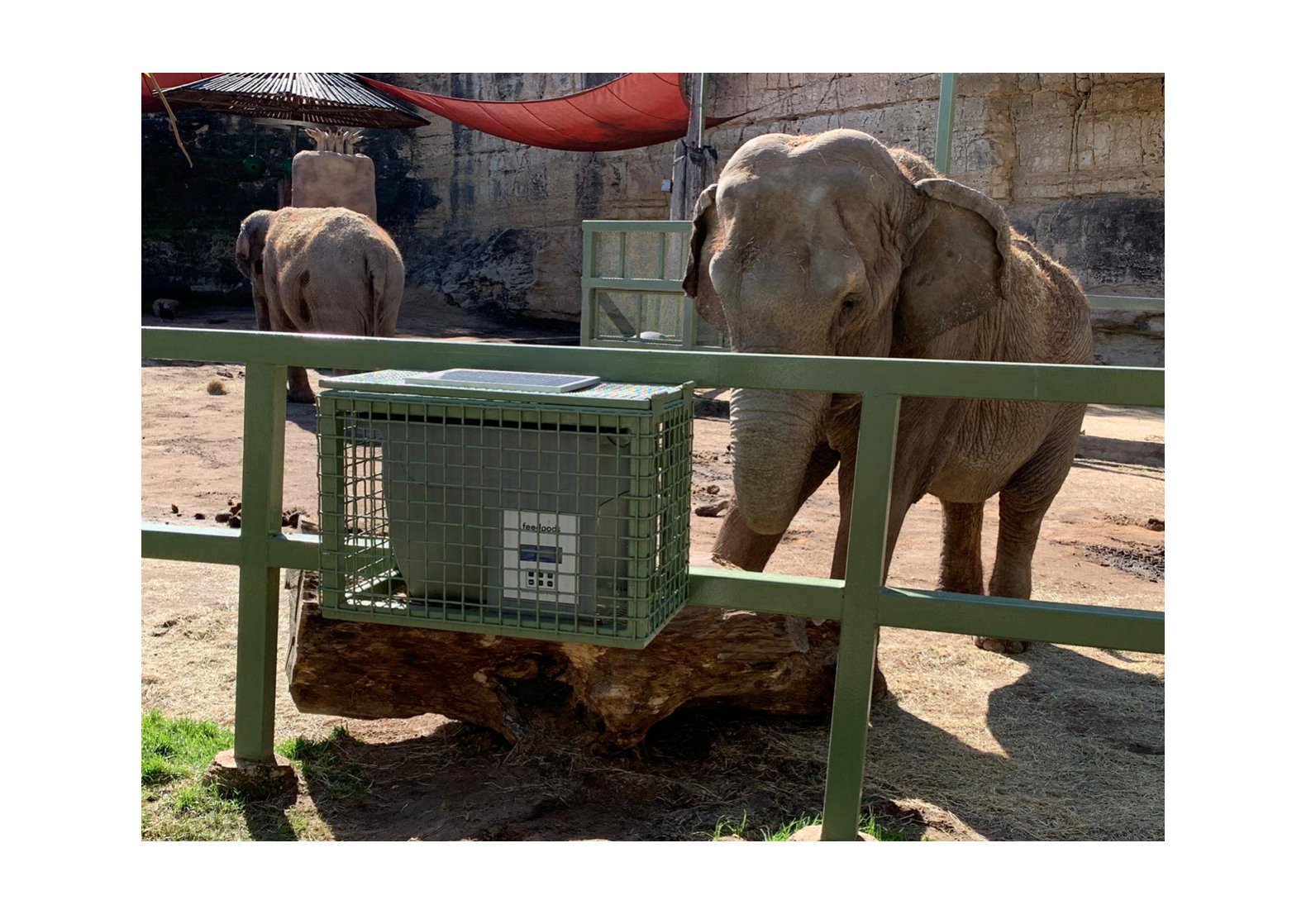 Home Feedpods Automatic Feeder With App Control For Zoos